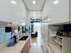 Eco Sanctuary (D23), Condominium #557395411